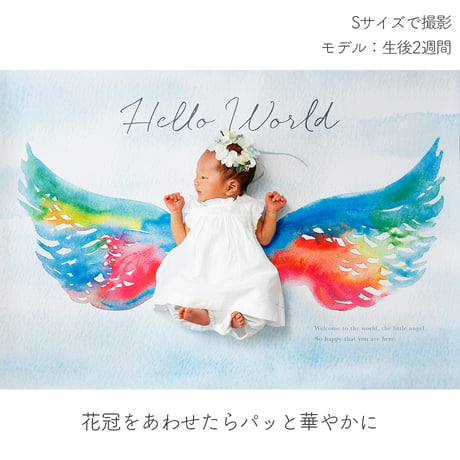 おうち写真館  Lovely  angel　＊名入れ無し