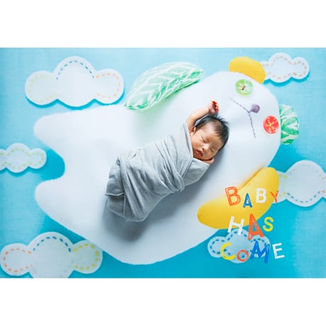おうち写真館　babybear sora　＊名入れ無し