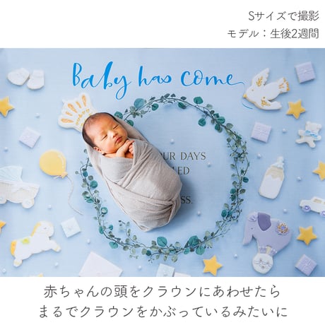 おうち写真館   happy-cookie  GENTLE BLUE　＊名入れ無し