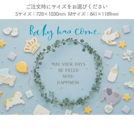 おうち写真館   happy-cookie  GENTLE BLUE　＊名入れ無し