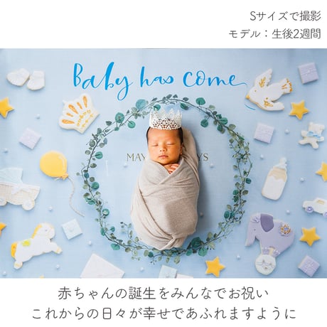 おうち写真館   happy-cookie  GENTLE BLUE　＊名入れ無し