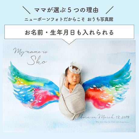 おうち写真館　babybear hidamari　＊名入れあり