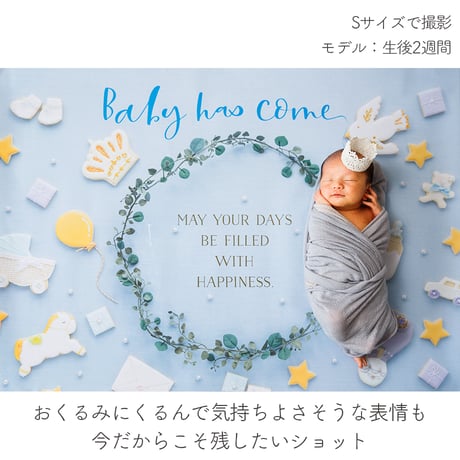 おうち写真館   happy-cookie  GENTLE BLUE　＊名入れ無し