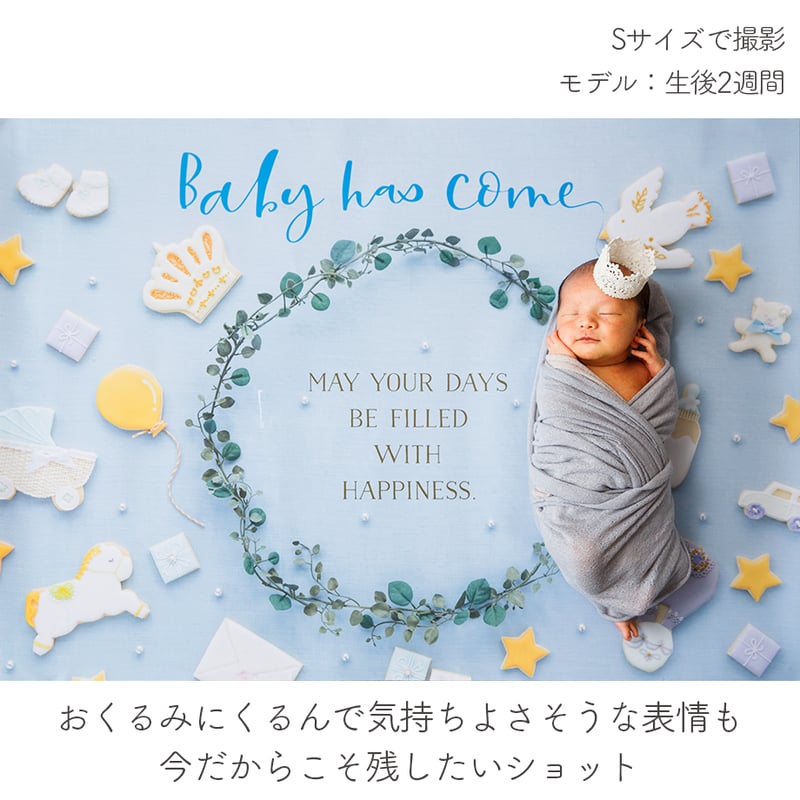 おうち写真館 happy-cookie GENTLE BLUE ＊名入れ無し | gra