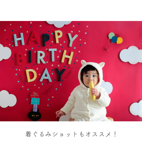 おうち写真館　cat vividpink