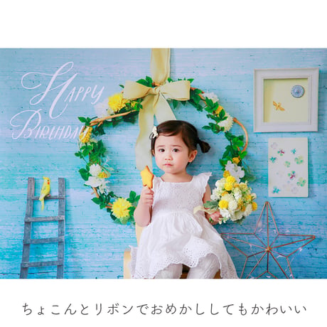 おうち写真館PREMIUM  happiness GREEN　＊名入れ無し