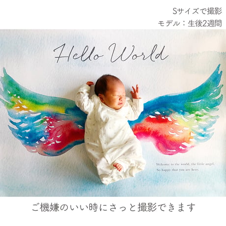 おうち写真館  Lovely  angel　＊名入れ無し