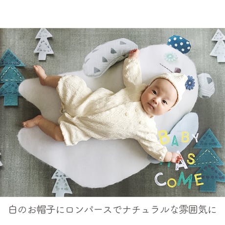 おうち写真館　babybear forest　＊名入れ無し