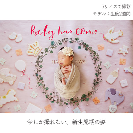 おうち写真館   happy-cookie  SWEET PINK　＊名入れ無し