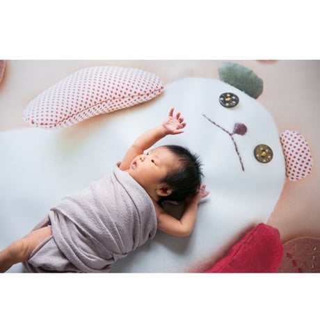 おうち写真館　babybear hidamari　＊名入れ無し