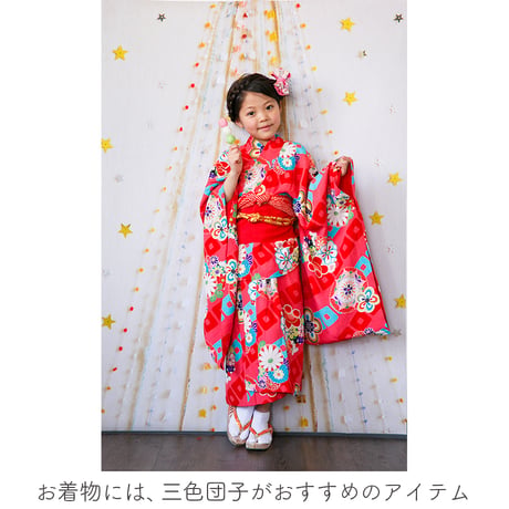 毎日残せる　おうち写真館   coordinate　Lサイズ