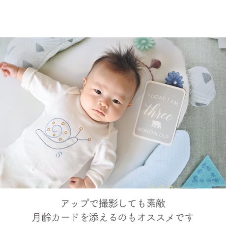 おうち写真館　babybear forest　＊名入れあり
