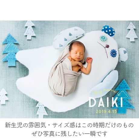 おうち写真館　babybear forest　＊名入れあり