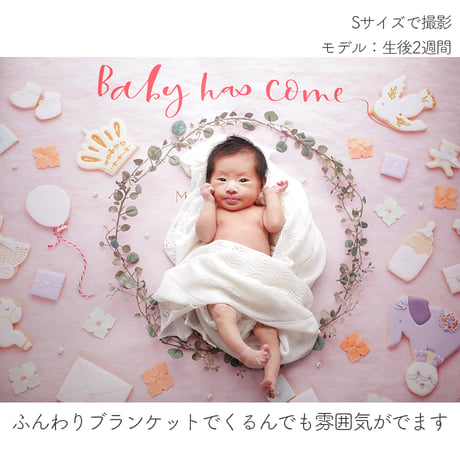 おうち写真館   happy-cookie  SWEET PINK　＊名入れ無し