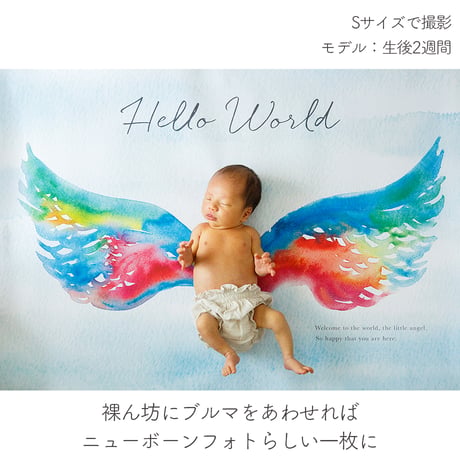 おうち写真館  Lovely  angel　＊名入れ無し