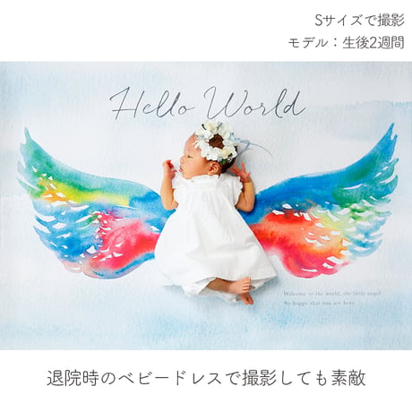 おうち写真館  Lovely  angel　＊名入れ無し