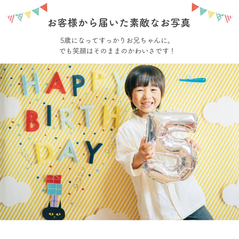 おうち写真館 cat stripe | gracocoro