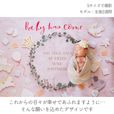 おうち写真館   happy-cookie  SWEET PINK　＊名入れ無し