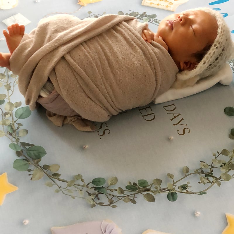 おうち写真館 happy-cookie GENTLE BLUE ＊名入れ無し | gra