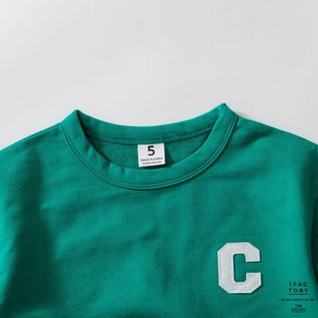 Cグリーンセットアップ