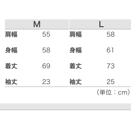 限定amc✖️hatagayacity Back T Over size ブラック