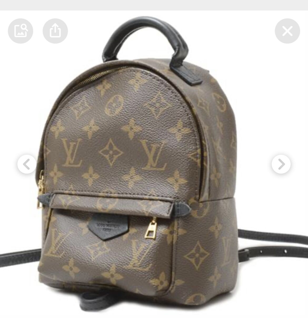 LOUIS VUITTON リュックサック