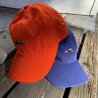 AMCウォッシュドキャップ　car