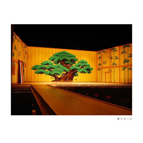 松 　-Matsu-