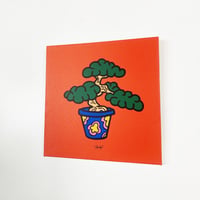 松  二号　-Matsu II-
