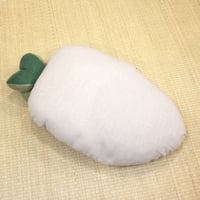 京野菜　聖護院だいこん