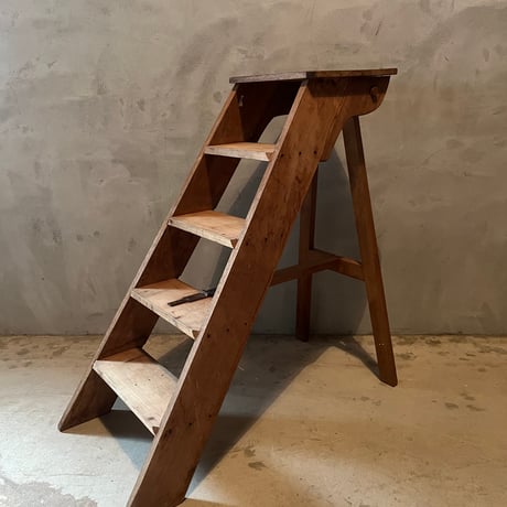 小学校の図書館のラダー・LYon