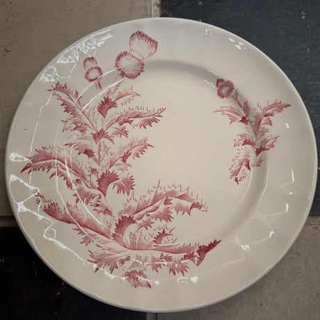Longchanp窯 Charmion  Φ24.5cm 1880-1920france