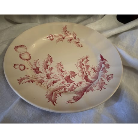 Longchanp窯 Charmion  Φ24.5cm 1880-1920france