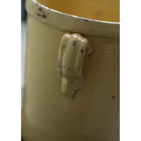 大きな たまご色のコンフィポット