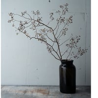 19世紀France 大きなピクルス瓶（H33cm)