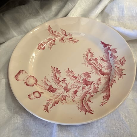 Longchanp窯 Charmion  Φ24.5cm 1880-1920france