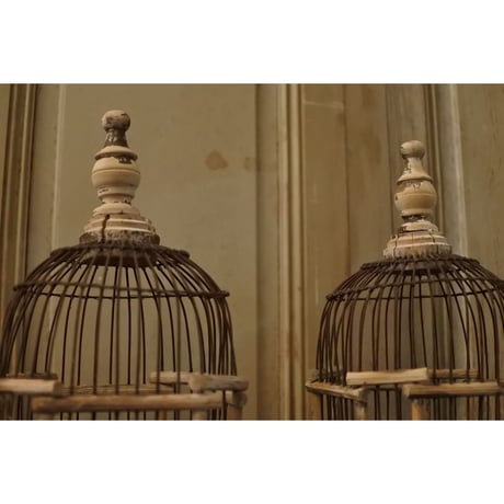 2つの塔を持つ鳥籠・france antique