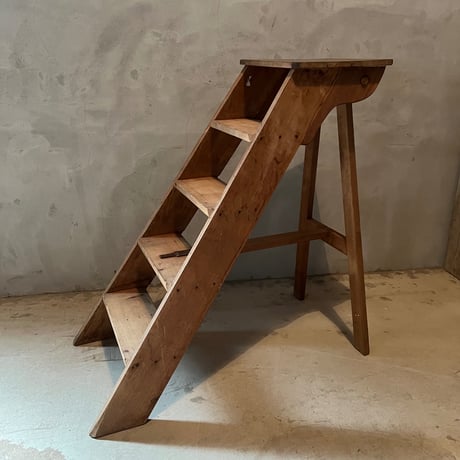 小学校の図書館のラダー・LYon