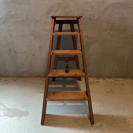 小学校の図書館のラダー・LYon
