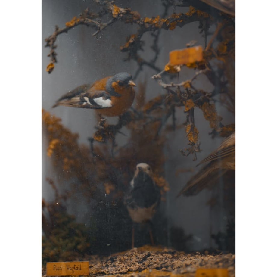 5e61d34468c462375b535841