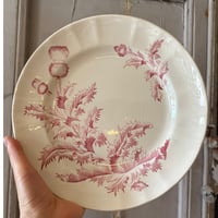 Longchanp窯 Charmion  Φ24.5cm 1880-1920france
