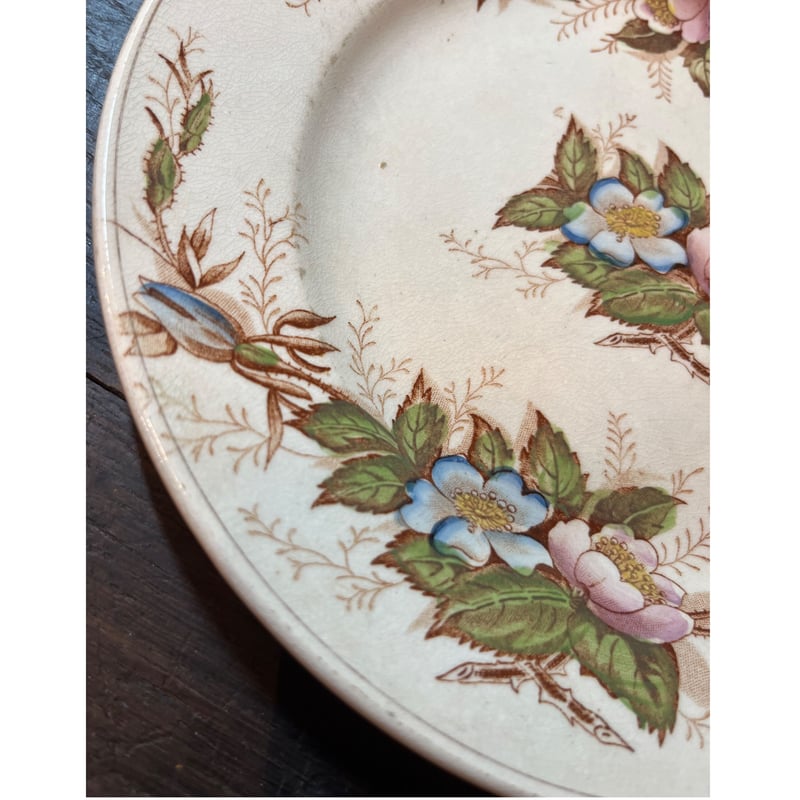 【専用】ショワジールロワ　アンティークプレート 楽天市場】1つの価格です。フランス アンティーク