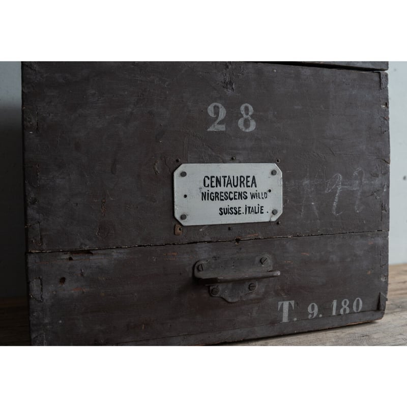 19世紀・ハーブ薬局の保存と運搬用の木箱・No28 | BOLT antique