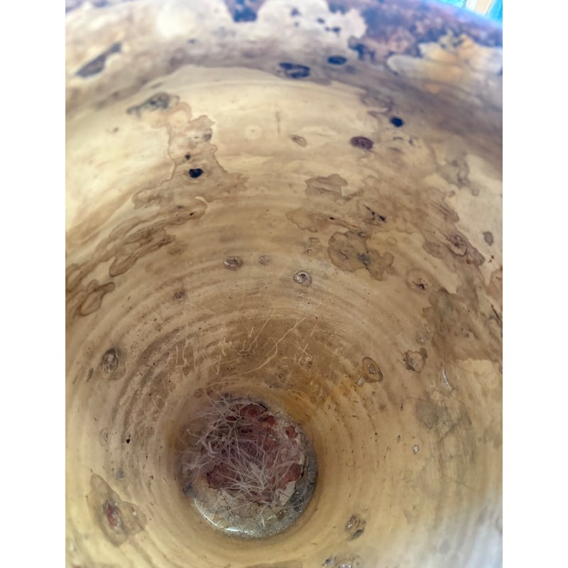 モンキーポッド　3枚 園芸ネット本店｜ビオラ：モンキージョージ3号ポット の通販【公式】