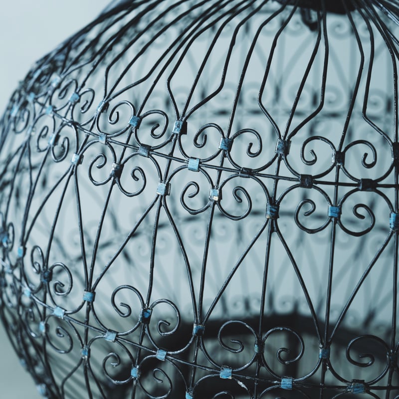 フランスアンティーク黒い鳥籠 | BOLT antique &brocante+design フランスアンティーク黒い鳥籠 | BOLT antique &brocante+design