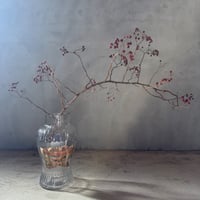 Maison GIirard Paris ボンボニエール