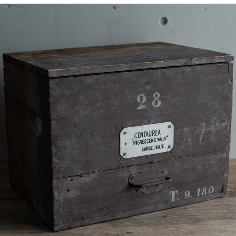 19世紀・ハーブ薬局の保存と運搬用の木箱・No28 | BOLT antique &broca