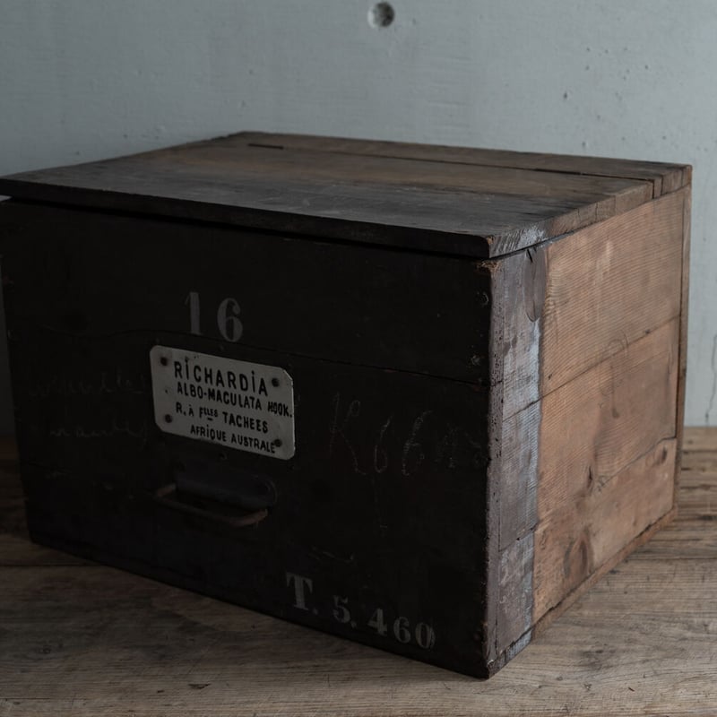 19世紀・ハーブ薬局の保存と運搬用の木箱・No16 | BOLT antique 19世紀・ハーブ薬局の保存と運搬用の木箱・No16 | BOLT antique