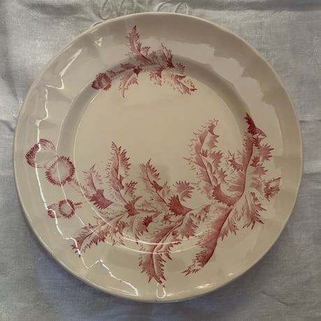 Longchanp窯 Charmion  Φ24.5cm 1880-1920france
