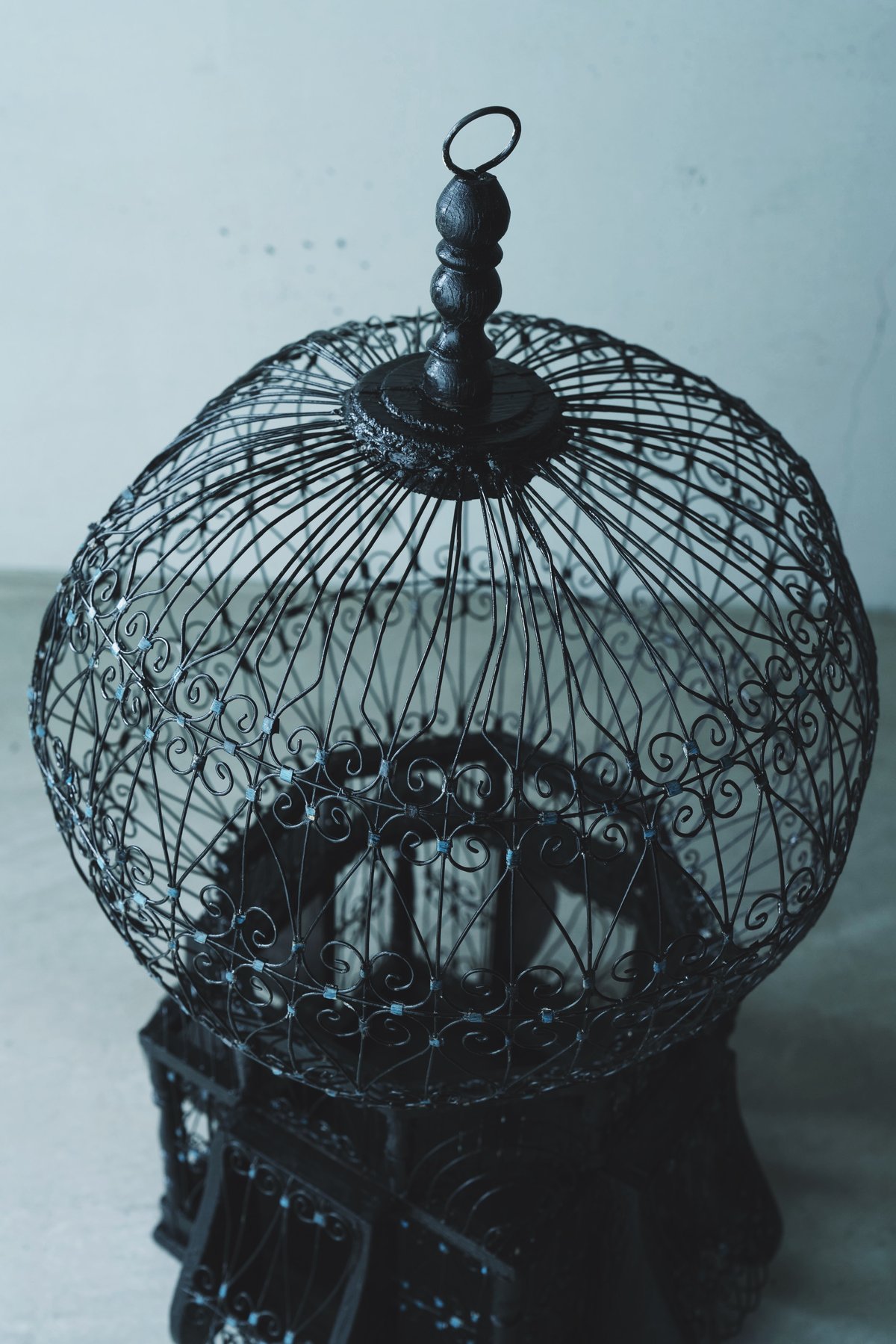 フランスアンティーク黒い鳥籠 | BOLT antique &brocante＋design